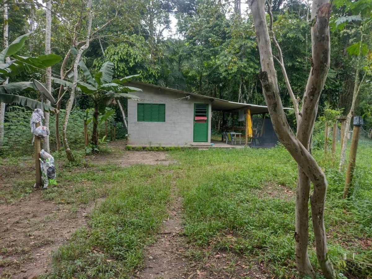 Fazenda à venda com 1 quarto, 1336m² - Foto 1