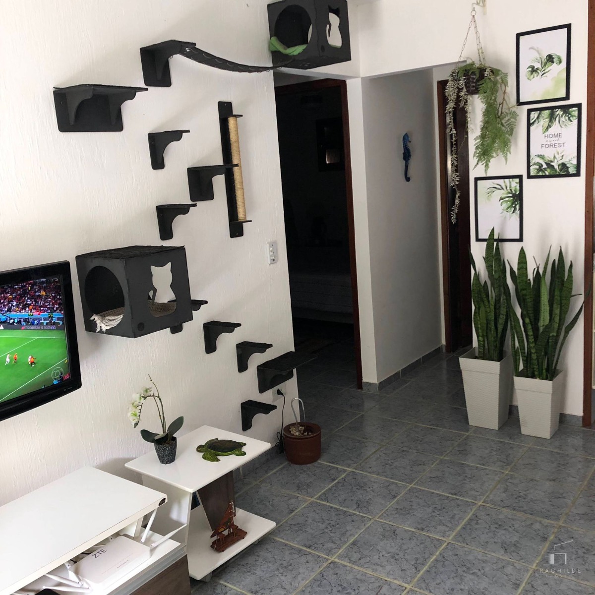 Apartamento à venda com 2 quartos, 66m² - Foto 1